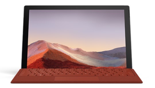 仲巴清洁和维护 Surface